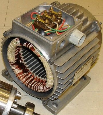 Motor in Action 2